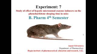 Study the effect of hepatic microsomal enzyme inducers on the phenobarbitone sleeping time in mice [upl. by Arika]