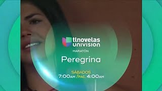 Maratón Peregrina  Univision Tlnovelas [upl. by Didier]