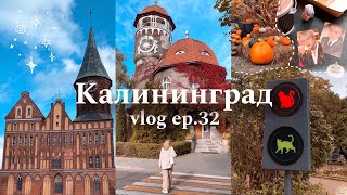 🐈 vlog ep 32  Калининград Зеленоградск Светлогорск 🎃🍁 autumn halloween vibes [upl. by Young]