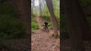 MTB Crash Into A tree 😲 [upl. by Ateloj]