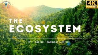 Ecosystems  Aquatic and Terrestrial Ecosystems Explained for Kids [upl. by Ocsisnarf]