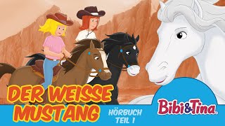 Bibi amp Tina Hörbuch Der weiße Mustang  1 Stunde Entspannung Teil 1 [upl. by Nanice532]