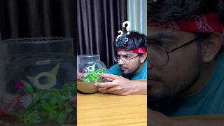 Mini Ecosystem 😮  Part  2 shorts fierydev [upl. by Atter]