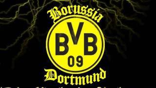 Borussia Dortmund Song  HITMIX [upl. by Jinny]