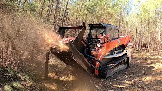 EXPLODING WHOLE TREES LIKE CONFETTI Rut Disc Mulcher VS Drum Mulcher Which Is Better [upl. by Lancey840]