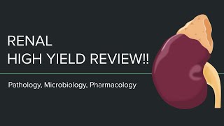 High Yield Renal Review Pharmacology Microbiology Pathology [upl. by Lsiel]