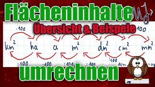 Flächeneinheiten umrechnen  Einfach mit einer Übersicht  Mit Beispielen [upl. by Aineval]