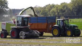 Chantier densilage de dactyle avec une ensileuse Claas Jaguar 860 [upl. by Essyle184]