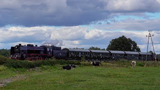 Pt4765 🚂 i TKh05353 🚂 z pociągiem specjalnym Wolsztyn  Kębłowo  29092024📅  1525🕛 [upl. by Olnek]