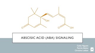 PLB112 Abscisic Acid ABA Signaling [upl. by Macleod]