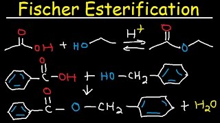 Fischer Esterification Reaction Mechanism  Carboxylic Acid Derivatives [upl. by Herminia753]