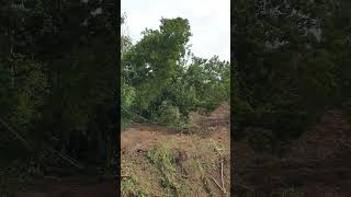 Incredible Skill Bulldozer Pushing large trees with high power bulldozer catd6rxl [upl. by Garibald117]