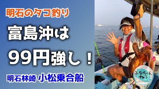 【明石タコ釣り】8月大潮回り（15日潮）安くても釣れる！99円スッテで富島沖のタコを次々キャッチ！ [upl. by Attikram]