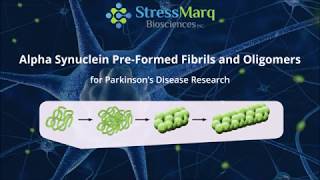 Product Overview Alpha Synuclein PreFormed Fibrils PFFs and Oligomers at FENS 2020 [upl. by Ijar]