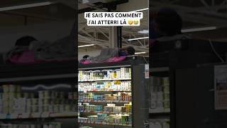 Je me suis réveillé ici 🤣😭 blague humour batflunch prank [upl. by Reizarf520]