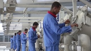 Strengthening Export Performance Through Improved Competitiveness in Ethiopia [upl. by Thora697]