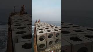 Excavator Dumping Wave Dissipating Concrete Block in the Sea  Coastal Erosion Solution [upl. by Anaitsirhc785]