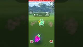 buddy catch assist Bulbasaur with Pikachu visor excellent curveball throw [upl. by Ahtanamas]