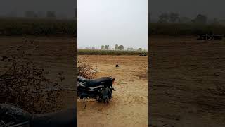 Village youtubeshorts youtubeshorts nature viralvideo villagelife [upl. by Atipul]