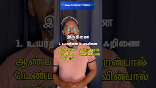 Class 10 Tamil tnpsctamil tntet pgtrb class10th [upl. by Lanevuj]