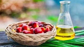 Top 5 Health Benefits Of Palm Oil [upl. by Ynor]