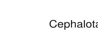 How to pronounce Cephalotaxus [upl. by Akemal]