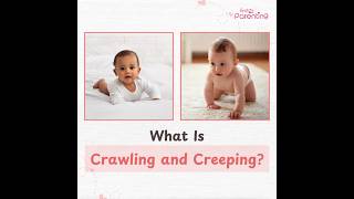 Baby Crawling Vs Creeping  Know the Difference [upl. by Angelle377]