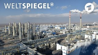 CO2Ausstoß China steht an der Spitze  Weltspiegel [upl. by Baird948]