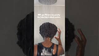 Low porosity 4C hair test takes long to absorb moisture short [upl. by Sada]