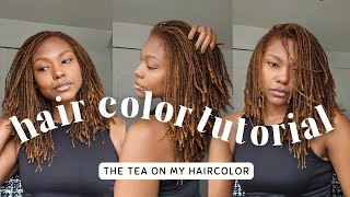 DIY Coloring My Locs Tutorial  InDepth root touch up  no bleach  Dark amp Lovely Box Dye [upl. by Gerita]