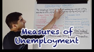 Y1 20 How is Unemployment Measured  Labour Force Survey LFS [upl. by Kassity]