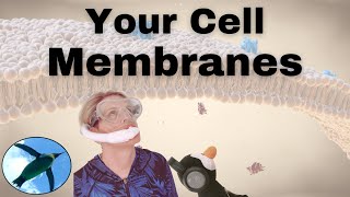 Your CELL MEMBRANES 🐧 [upl. by Mackay]