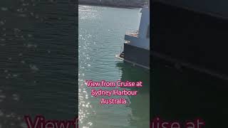 View from Cruise at Sydney Harbour Australia australia travel sydney cruiseblog cruiselover [upl. by Ralyks]