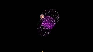 FIREPOWER DISPLAYS Fireworks  Gender Reveal Fireworks [upl. by Caril]