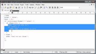 Beginner PHP Tutorial  8  Indentation [upl. by Demakis]