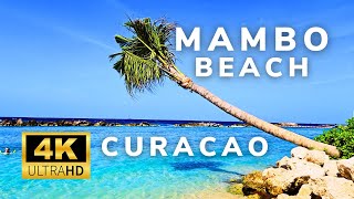 Curacao  4K  Mambo Beach  Beach Walk  BeachLife [upl. by Arabelle]