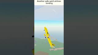 spirit airlines plane safely lands [upl. by Nylavad]