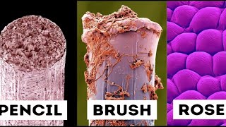 New objects under electron microscope 🔬 [upl. by Thistle531]