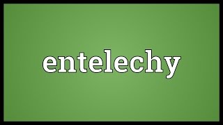 Entelechy Meaning [upl. by Julide]