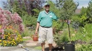 Garden Tips  How to Plant Flowering Crabapple Trees [upl. by Cyrillus]