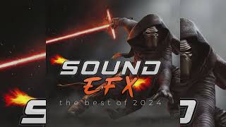 DJ SOUND EFX  THE BEST OF 2024 SoundEfx2024 [upl. by Ysteb407]