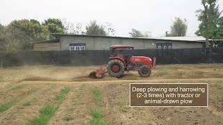 Land preparation for farming [upl. by Hgieleak]