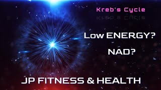 Struggling with Low Energy Unlock Your Krebs Cycle Within and Get Supercharged jpfitnesshealth [upl. by Nivrad]