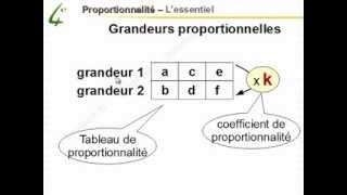 Maths 4ème  Proportionnalité  Mathématiques quatrième [upl. by Chemush834]