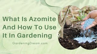 What Is Azomite And How To Use It In Gardening [upl. by Gaves]