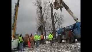 Wind turbine company Nextera amp MNR destroy Bald Eagle Nest amp Habitat in Haldimand Cty ON [upl. by Gavette286]