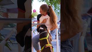 Dog Senses Womans Struggle and Comes to Her Rescue shorts [upl. by Eusebio]