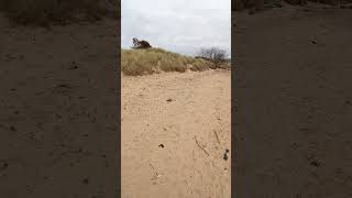 Findhorn Beach findhorn scotland beach [upl. by Willyt]