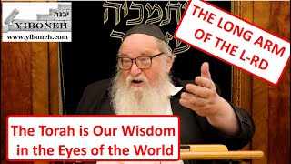 Rav Yitzchak Breitowitz THE LONG ARM OF THE LRD The Torah is Our Wisdom in the Eyes of the World [upl. by Zirtaeb937]