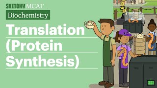 Protein Synthesis Biochemistry  Sketchy MCAT [upl. by Maddalena885]